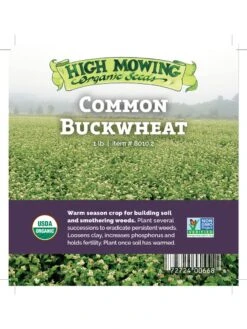 Common Buckwheat Organic Seeds 7 Common Buckwheat Organic Seeds -Garden Care Shop 8599871 04v