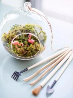 Terrarium Tools, Set Of 4 5 Terrarium Tools, Set Of 4 -Garden Care Shop 8599884 01V tif