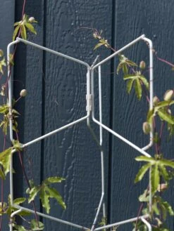 New Arrival -Garden Care Shop 8599997 0052 tif