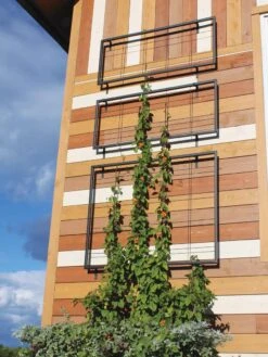 Exeter Wall Trellis -Garden Care Shop 8600049 7121 tif