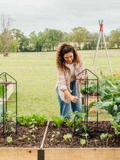 Zenith Folding Garden Supports, Set Of 2 -Garden Care Shop 8600073 324 tif