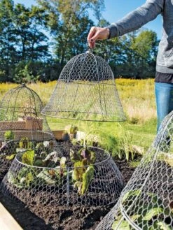 Chicken Wire Cloche With Extension -Garden Care Shop 8600116 0604 3 4