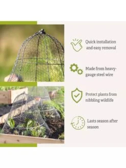 Chicken Wire Cloche With Extension -Garden Care Shop 8600116 3