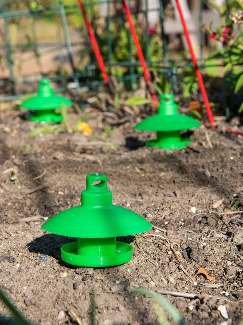 Slug And Snail Traps, Set Of 3 1 Slug And Snail Traps, Set Of 3