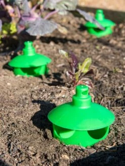 Slug And Snail Traps, Set Of 3 11 Slug And Snail Traps, Set Of 3 -Garden Care Shop 8600120 1788