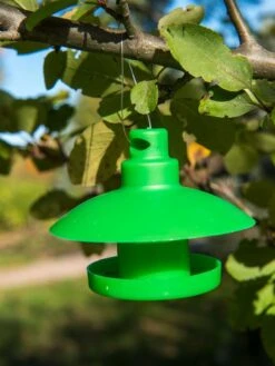 Slug And Snail Traps, Set Of 3 15 Slug And Snail Traps, Set Of 3 -Garden Care Shop 8600120 1792