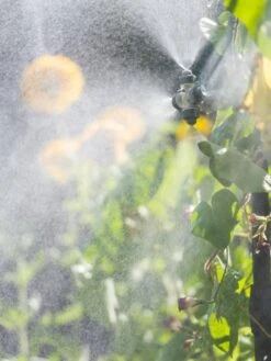 Landscape 4-Way Cooling Mist Kit, 50' -Garden Care Shop 8600154 0695 tif