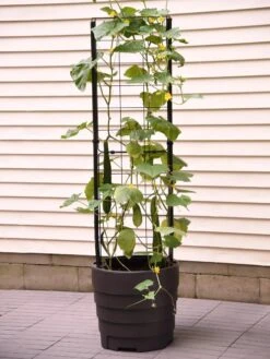 Gardener’s Victory Self-Watering Planter Garden With Vine Trellis 9 Gardener’s Victory Self-Watering Planter Garden With Vine Trellis -Garden Care Shop 8600177 9876 tif 1