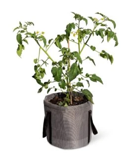 Reinforced Colorful Grow Bags 11 Reinforced Colorful Grow Bags -Garden Care Shop 8600229 0944 tif