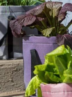 Reinforced Colorful Grow Bags 9 Reinforced Colorful Grow Bags -Garden Care Shop 8600230 20013 tif