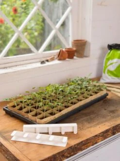 Paper Pots Starter Set 10 Paper Pots Starter Set -Garden Care Shop 8600273 0303 tif