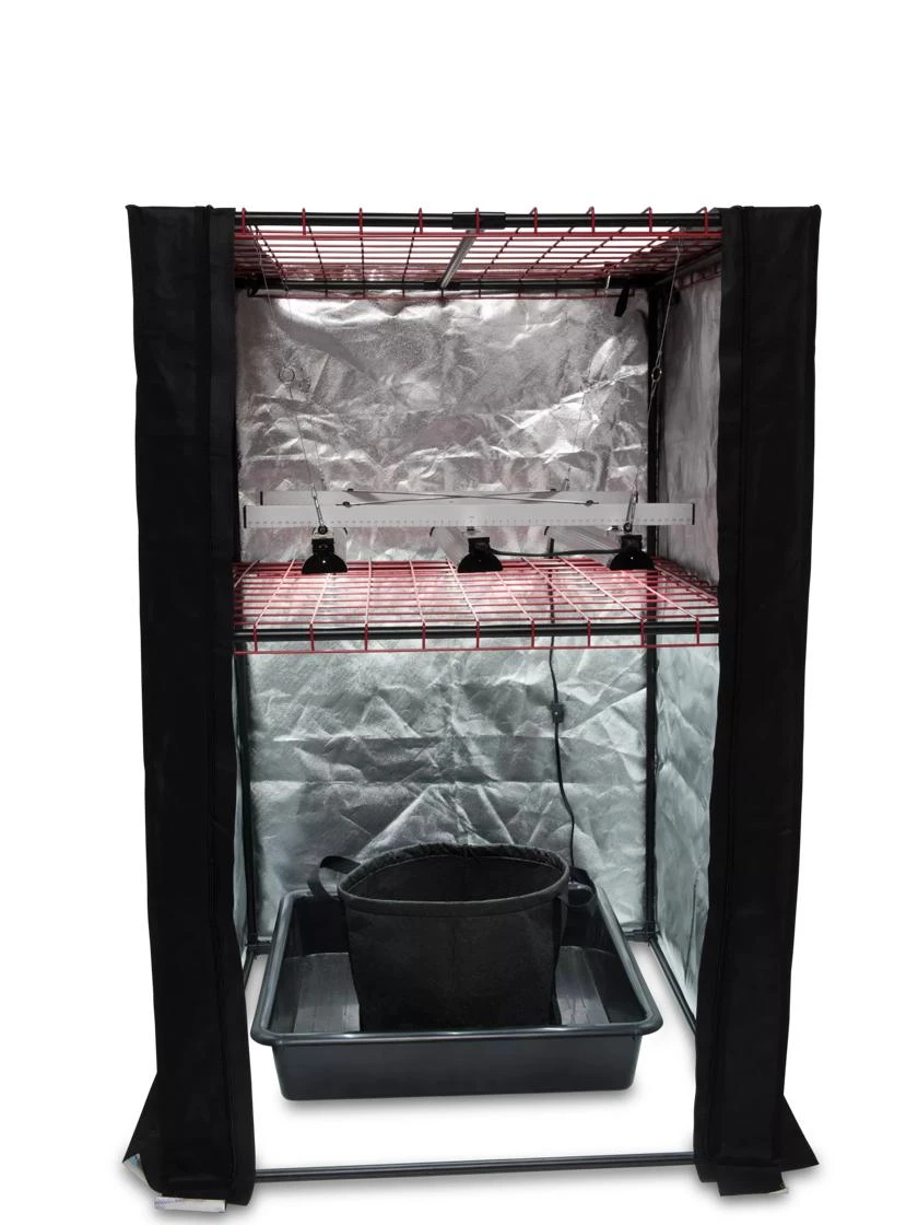 Hemp Grow Kit 9 Hemp Grow Kit - Image 9