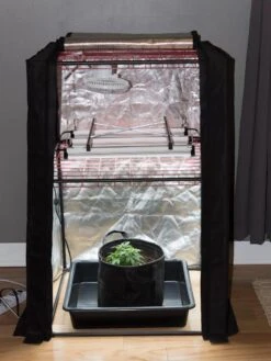 Hemp Grow Kit 12 Hemp Grow Kit -Garden Care Shop 8600301 0590 tif