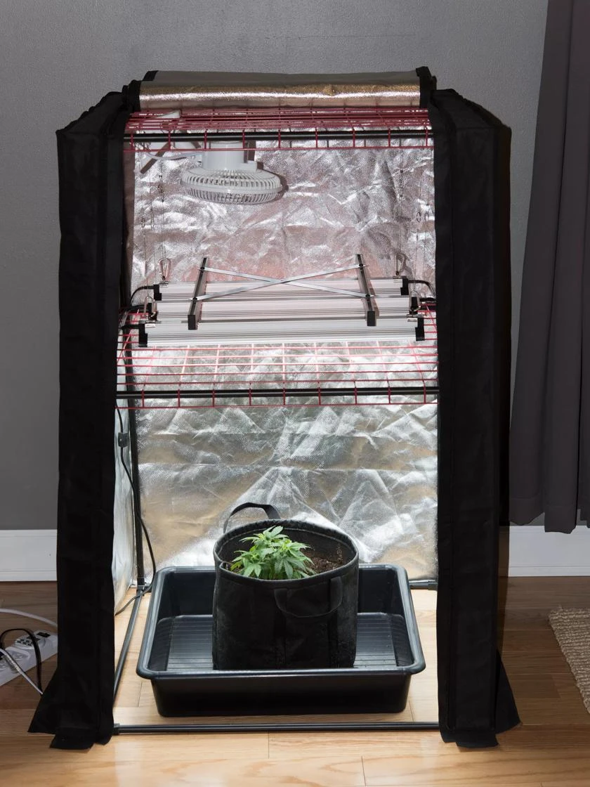 Hemp Grow Kit 3 Hemp Grow Kit - Image 3