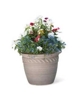 Cortina Self-Watering Planters 12 Cortina Self-Watering Planters -Garden Care Shop 8600315 19839 tif