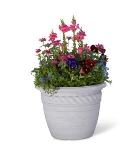 Cortina Self-Watering Planters 11 Cortina Self-Watering Planters -Garden Care Shop 8600316 19838 tif