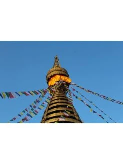Tibetan Prayer Flags -Garden Care Shop 8600646 04v
