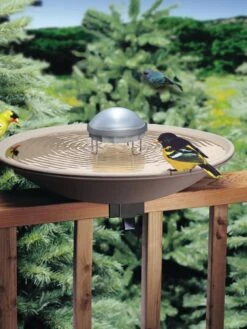Birds Choice ® Aurora Water Wiggler