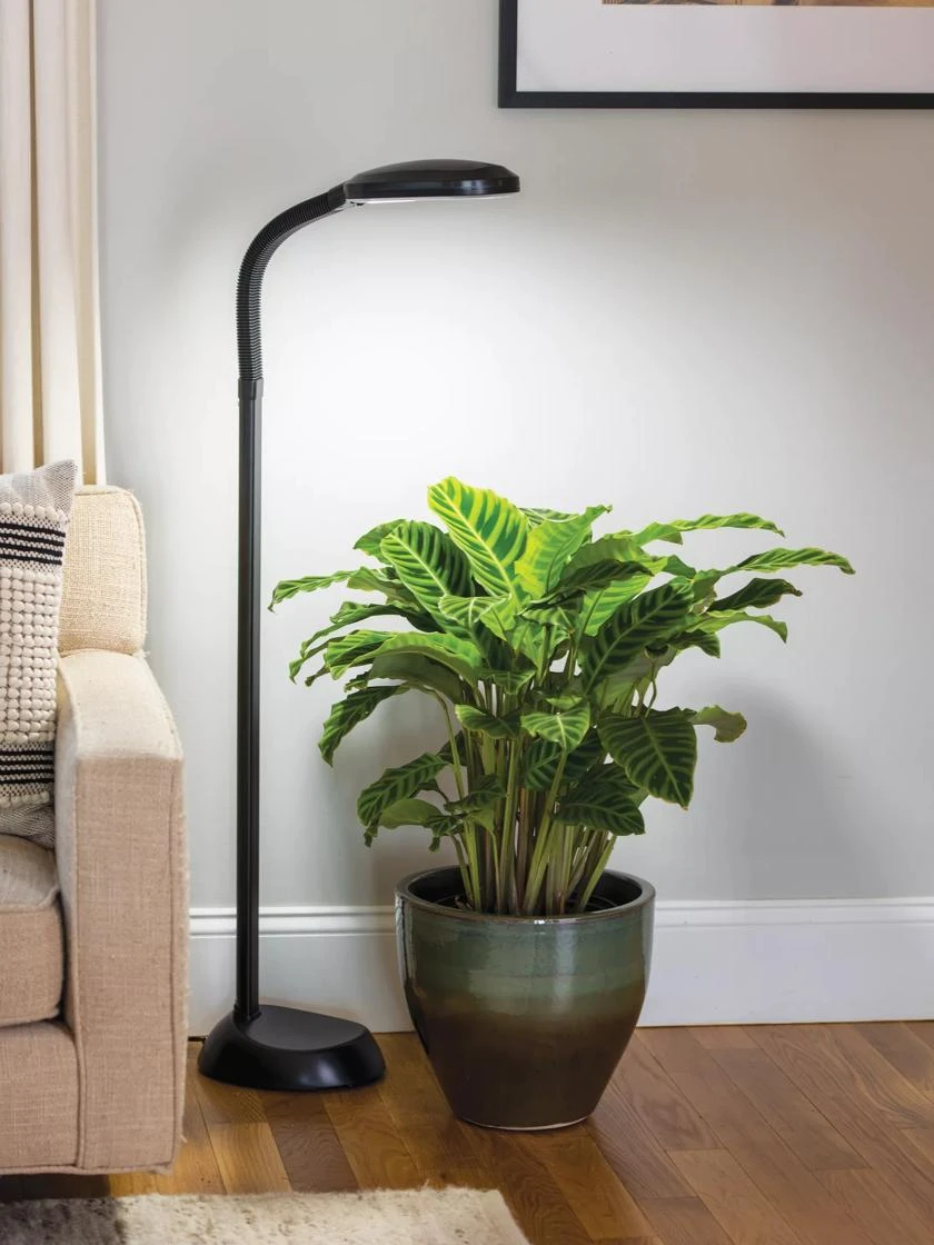 Agrobrite Floor LED Plant Lamp 1 Agrobrite Floor LED Plant Lamp