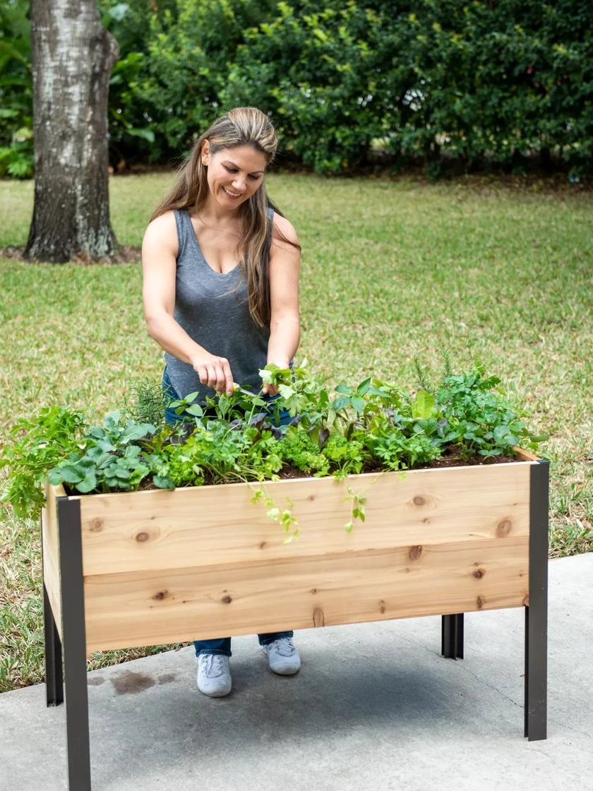 Self-Watering Elevated Planter Box, 2' X 4'