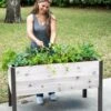 Self-Watering Eco-Stained Elevated Planter Box, 2' X 4'