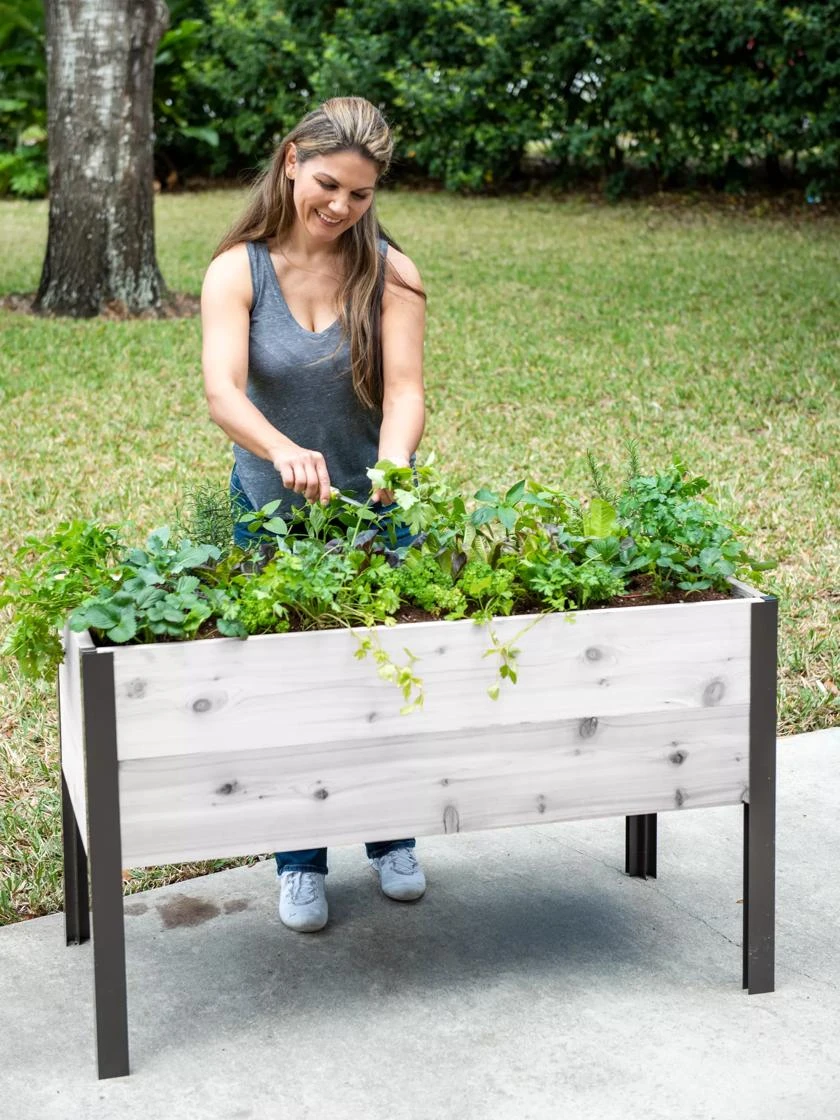 Self-Watering Eco-Stained Elevated Planter Box, 2' X 4' 1 Self-Watering Eco-Stained Elevated Planter Box, 2' X 4'
