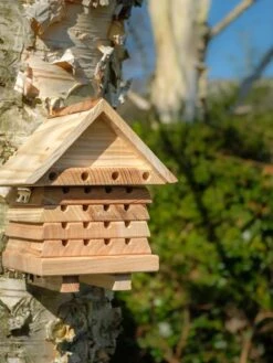 Solitary Bee Hive -Garden Care Shop 8609060 08V tif