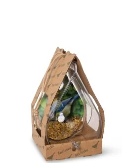 Dewdrop Window Bird Feeder -Garden Care Shop 8609061 4444 tif