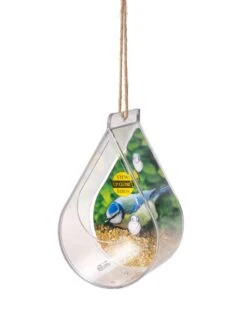 Dewdrop Window Bird Feeder -Garden Care Shop 8609061 4447 tif