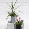 Metal Bucket Planters