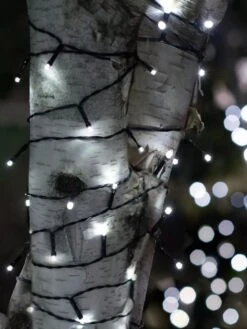 Solar LED String Lights, Lightup225â„¢