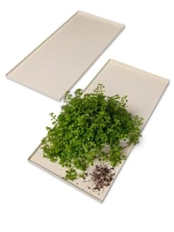 Oslo Grow Light Garden Trays, Set Of 2 5 Oslo Grow Light Garden Trays, Set Of 2 -Garden Care Shop 8609187 7686 tif