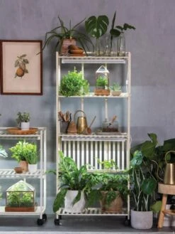 Oslo 4-Tier LED Grow Light Garden 17 Oslo 4-Tier LED Grow Light Garden -Garden Care Shop 8609188 4118 tif