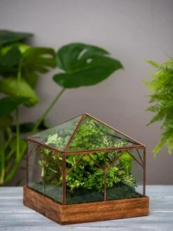 Garden Care Shop 31 Art Decco Copper And Glass Terrariums