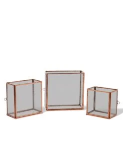 Copper And Glass Terrariums, Set Of 3 5 Copper And Glass Terrariums, Set Of 3 -Garden Care Shop 8609212 0851 tif