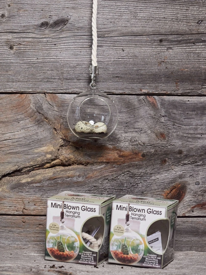 Mini Blown-Glass Hanging Terrarium, Set Of 2 3 Mini Blown-Glass Hanging Terrarium, Set Of 2 - Image 3