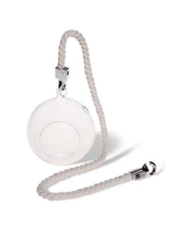 Mini Blown-Glass Hanging Terrarium, Set Of 2 9 Mini Blown-Glass Hanging Terrarium, Set Of 2 -Garden Care Shop 8609218 4734