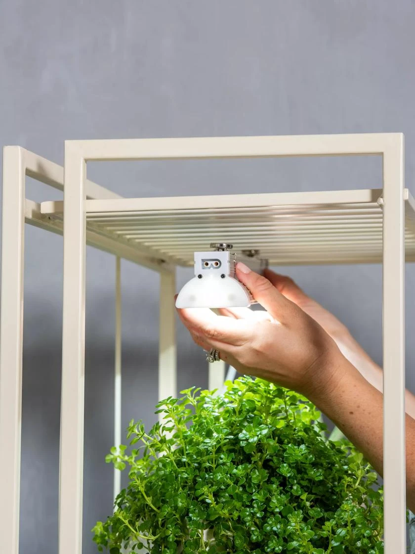 Oslo 2-Tier LED Grow Light Garden, 2 Fixtures 8 Oslo 2-Tier LED Grow Light Garden, 2 Fixtures - Image 8