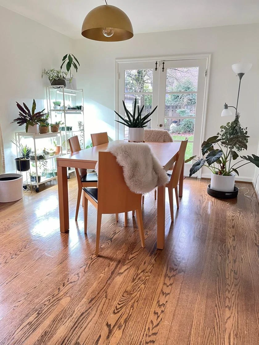 Oslo 2-Tier LED Grow Light Garden, 2 Fixtures 11 Oslo 2-Tier LED Grow Light Garden, 2 Fixtures - Image 11