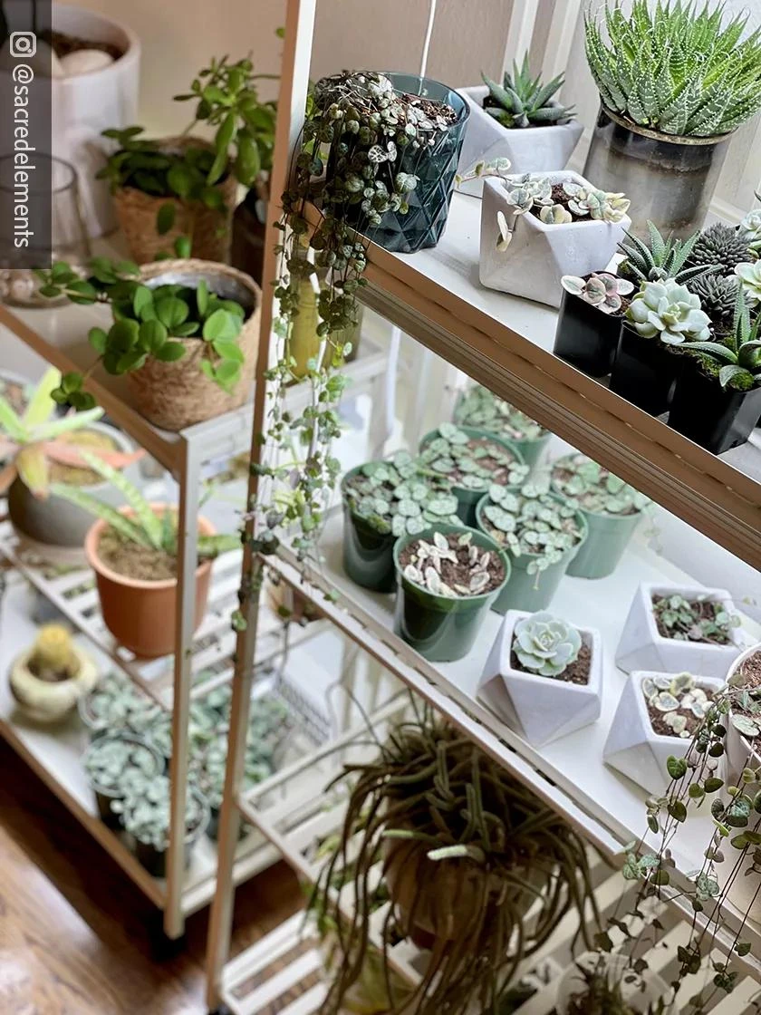 Oslo 2-Tier LED Grow Light Garden, 2 Fixtures 12 Oslo 2-Tier LED Grow Light Garden, 2 Fixtures - Image 12