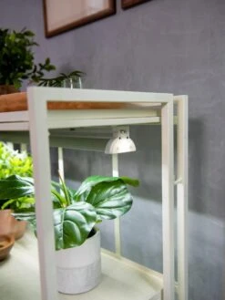 Oslo 2-Tier LED Grow Light Garden, 2 Fixtures 16 Oslo 2-Tier LED Grow Light Garden, 2 Fixtures -Garden Care Shop 8609221 4101 tif