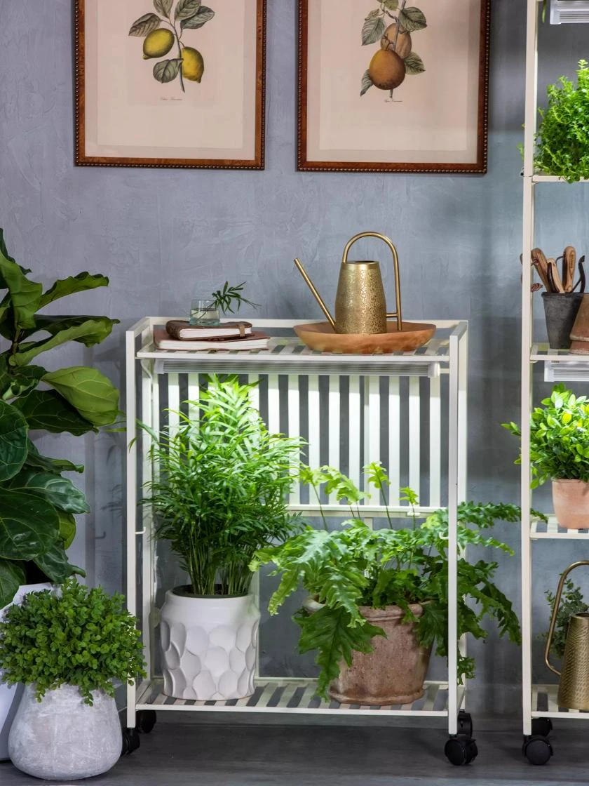 Oslo 2-Tier LED Grow Light Garden, 2 Fixtures 7 Oslo 2-Tier LED Grow Light Garden, 2 Fixtures - Image 7