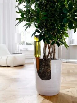 Hydro Wine Container Watering System, Set Of 4 -Garden Care Shop 8609224 04V tif