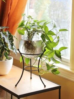 Achla Designs Multi Use Stand -Garden Care Shop 8609343 01v achla designs multi use stand