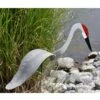 Florida Dancing Birds®, Sand Hill Crane