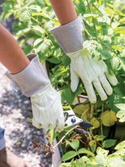 Garden Works Mid Cuffâ„¢ Gloves