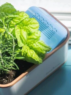 Dewplanter -Garden Care Shop 8609512 04V