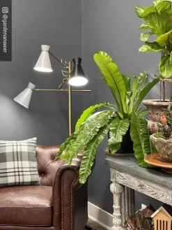 Adjustable 3-Arm Grow Lamp 13 Adjustable 3-Arm Grow Lamp -Garden Care Shop 8609868 01IN tif