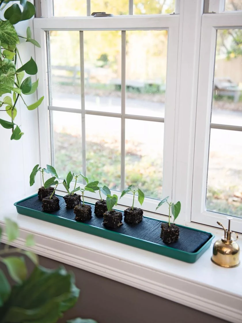 Self-Watering Windowsill Tray 1 Self-Watering Windowsill Tray