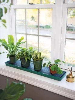 Self-Watering Windowsill Tray 7 Self-Watering Windowsill Tray -Garden Care Shop 8609873 9011 tif